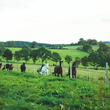 Urlaub Auf Dem Reiterhof Schaarschmidt Großrückerswalde
